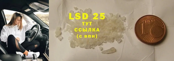 индика Майский