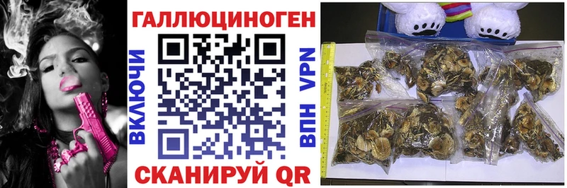 Псилоцибиновые грибы ЛСД  Купить  Вольск 